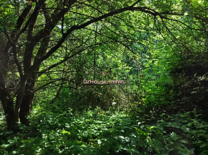 Terrain de 1 358 m² - Vire Normandie (14500)