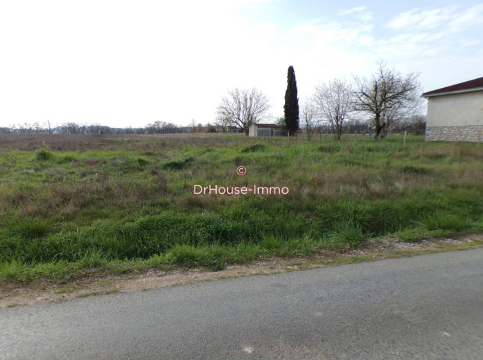 Terrain