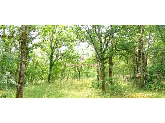 Terrain de 10 225 m² - Montvalent (46600)