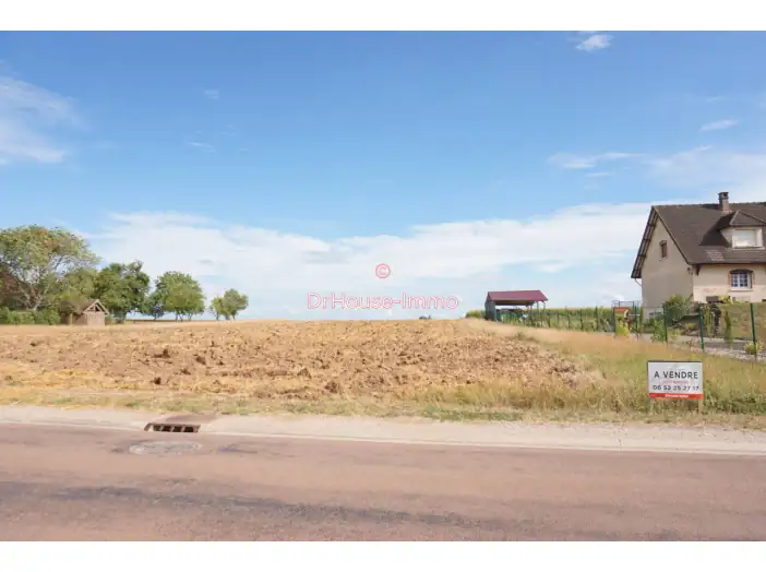 Terrain de 2 919 m² - Villemereuil (10800)