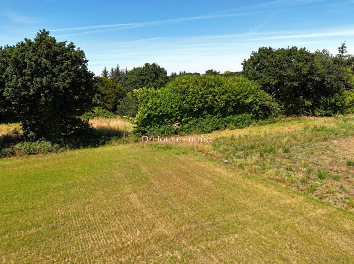 Terrain
