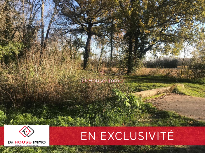Terrain de 12000m²