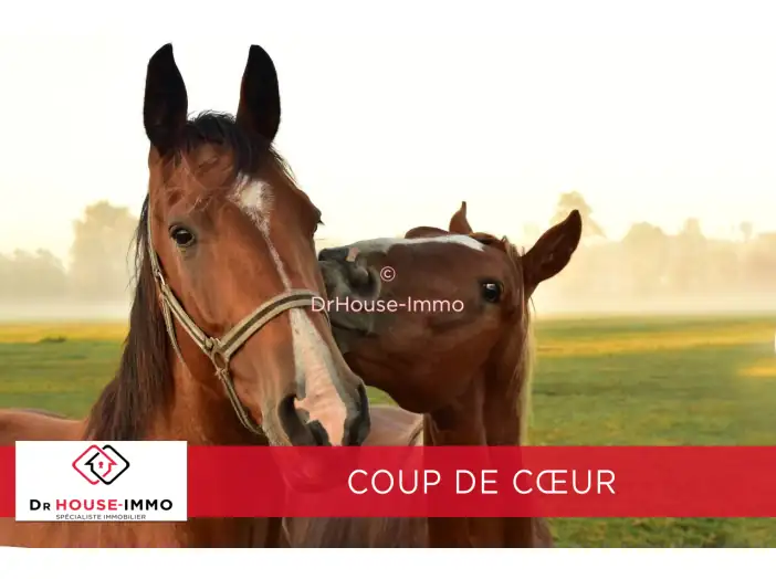 Maison 18 pièces de 302 m² - Commequiers (85220)