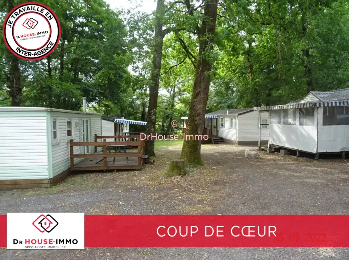 Terrain de 8 000 m² - Saint-André-de-Cubzac (33240)