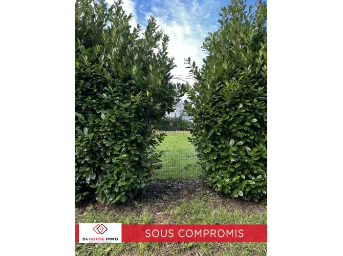 Terrain de 439 m² - Mauves-sur-Loire (44470)