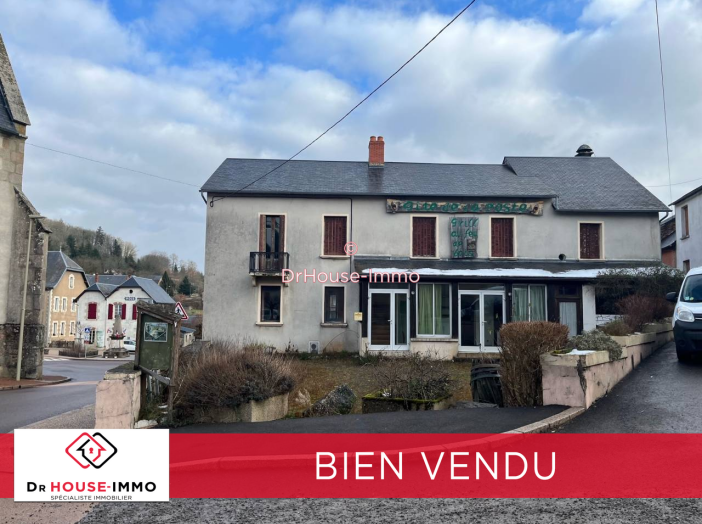 Hôtel particulier de 600m² - 22 pièces