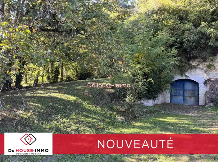 Bien immobilier 1 pièce de 82 m² - Langeais (37130)