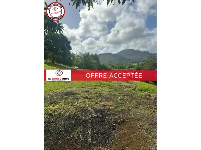 Terrain de 1 033 m² - François (97240)