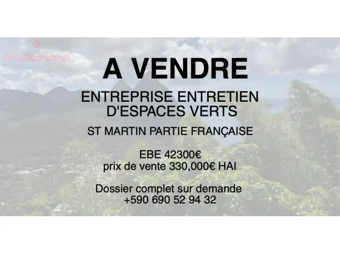 Commerce 1 pièce de 50 m² - Saint-Martin (97150)