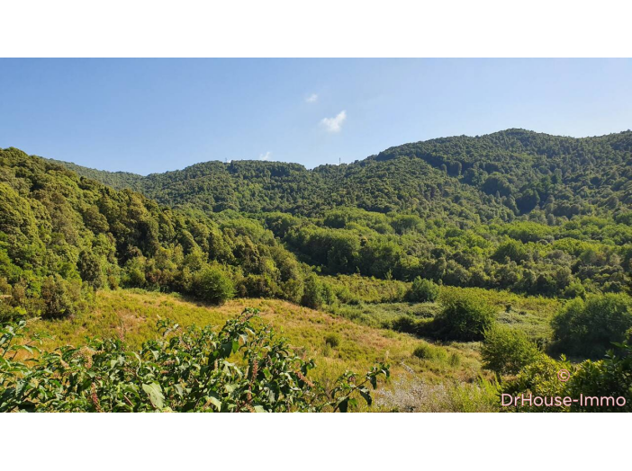 Terrain de 39548m²