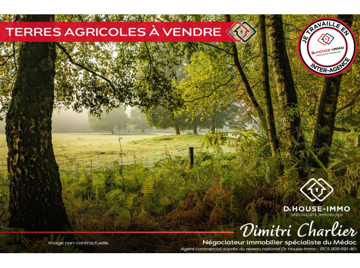 Terrain de 40000m²