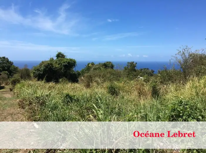 Terrain de 1 482 m² - Vieux-Habitants (97119)