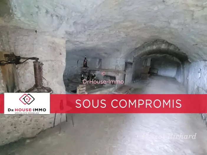 Bien immobilier 2 pièces de 60 m² - Lignières-de-Touraine (37130)