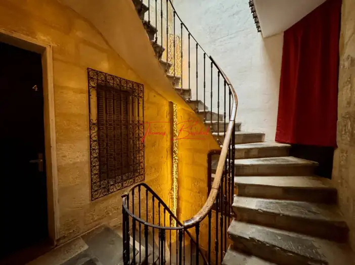 Immeuble 12 pièces de 237 m² - Bordeaux (33800)