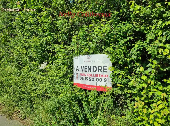 Terrain de 1 358 m² - Sainte-Marie-Laumont (14350)