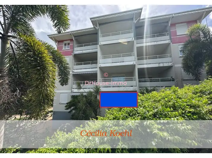 Appartement 1 pièce de 29 m² - Robert (97231)