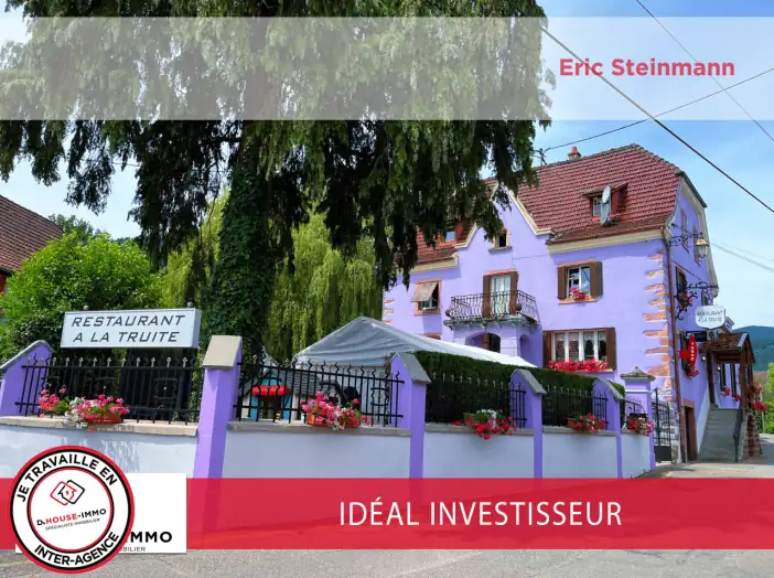 Commerce 12 pièces de 360 m² - Lautenbachzell (68610)