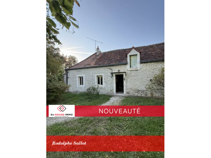 Maison 5 pièces de 160 m² - Vineuil (36110)