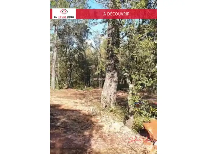 Terrain de 7 807 m² - Saint-Maximin-la-Sainte-Baume (83470)