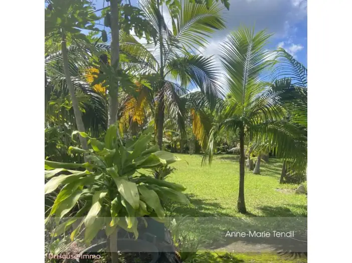 Terrain de 784 m² - Tampon (97430)