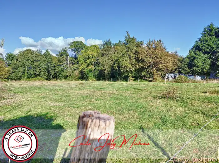 Terrain de 4 392 m² - Cartelègue (33390)