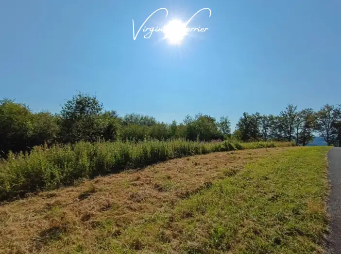 Terrain de 3 000 m² - Louignac (19310)