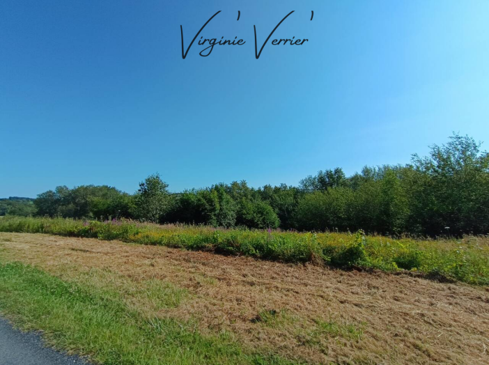 Terrain de 3000m²