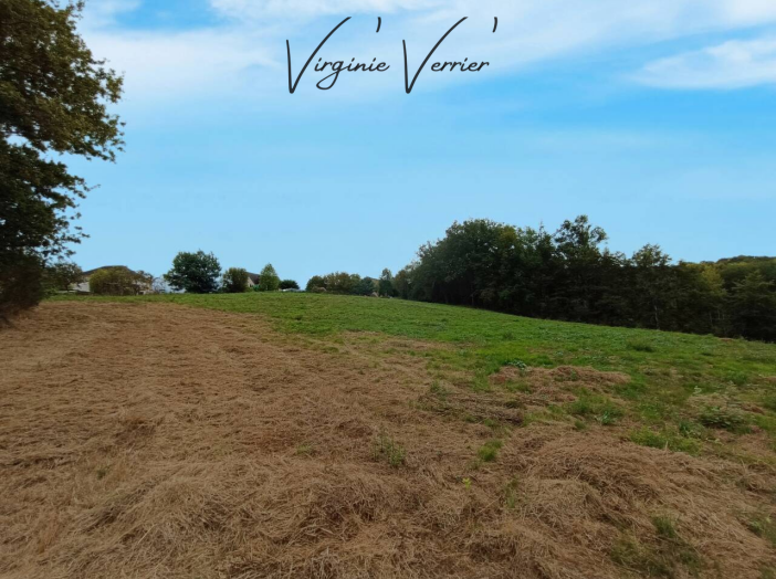 Terrain de 11205m²