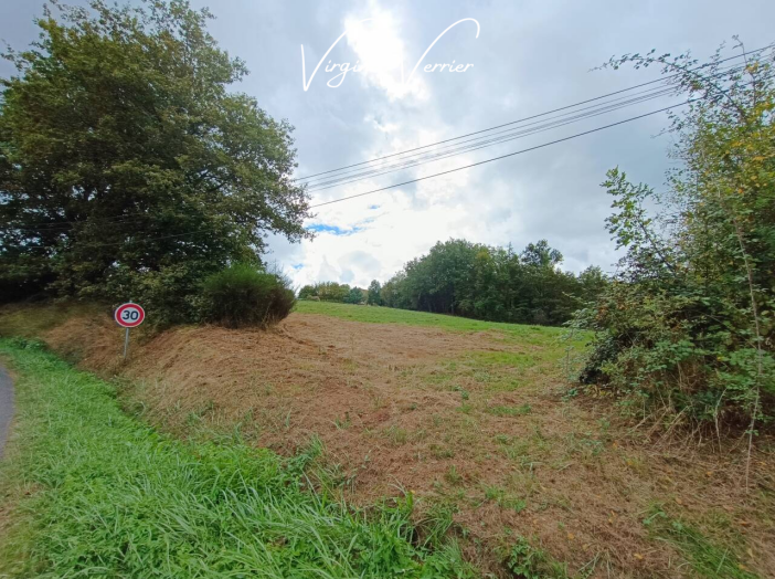Terrain de 11 205 m² - Saint-Cyprien (19130)