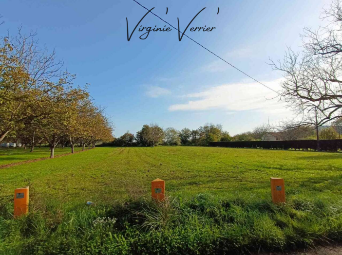 Terrain de 1361m²