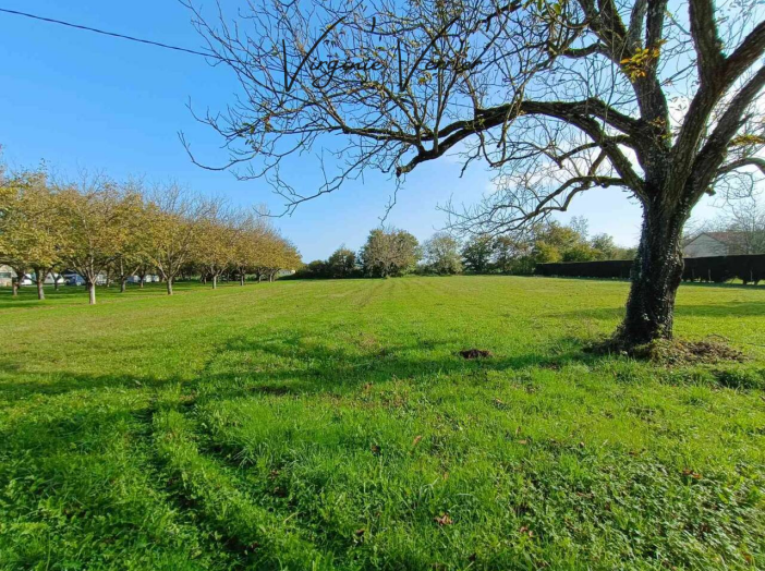 Terrain de 1208m²