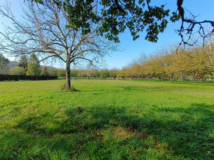 Terrain de 2005m²