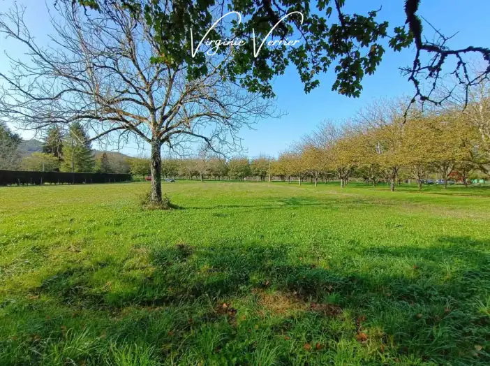 Terrain de 2 005 m² - Pazayac (24120)