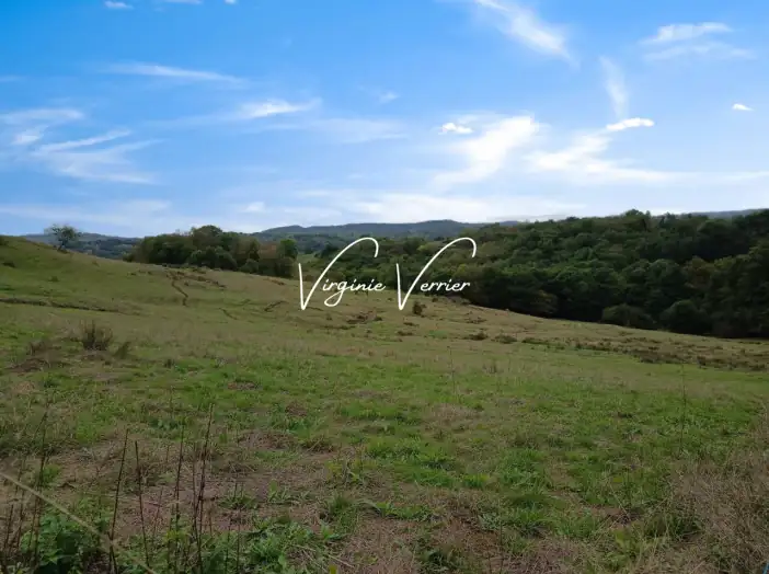 Terrain de 2 010 m² - Allassac (19240)