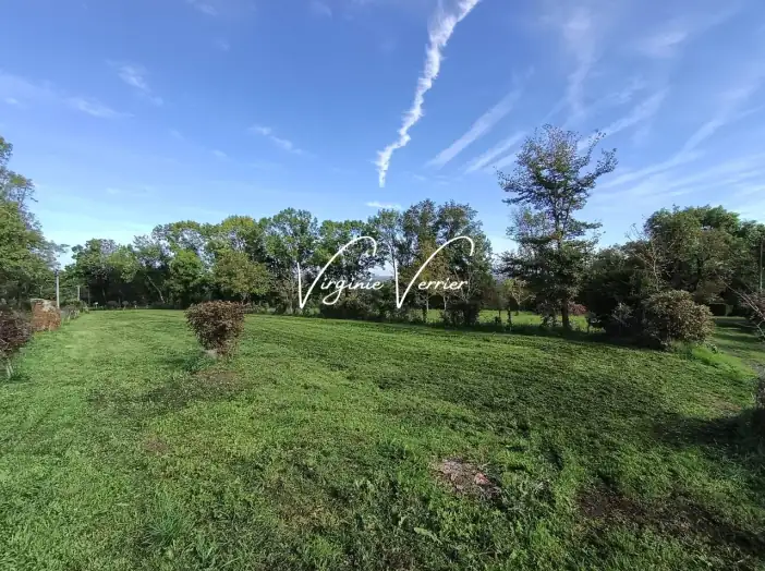 Image des la section Servies