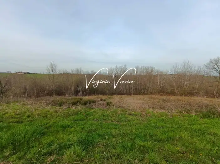 Terrain de 2 469 m² - Louignac (19310)